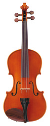 Violine/Geige