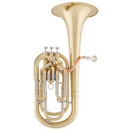 Tenorhorn