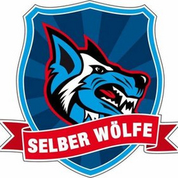 Selber Wölfe - EC Bad Nauheim