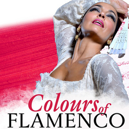 Flamenco Vida