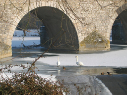 Führung entlang der Stadtmauer