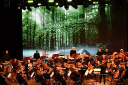 Brandenburger Symphoniker  "Ein Sommernachtstraum"