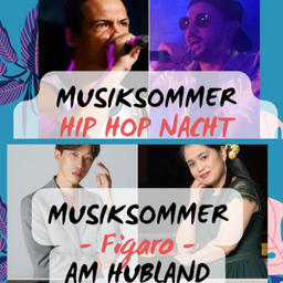 Musiksommer am Hubland 05.07.2024 Tagesticket