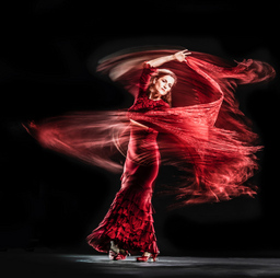 Flamenco unter Sternen
