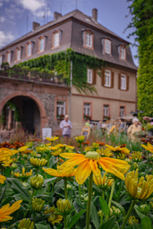 Das Gartenfest Laubach