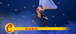 Circus neu erleben - Circus neu erleben