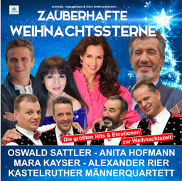 Zauberhafte Weihnachtssterne