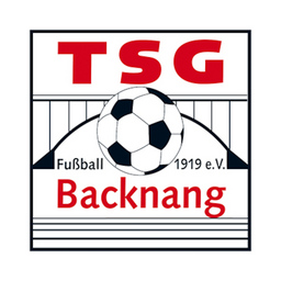 VfR Aalen - TSG Backnang