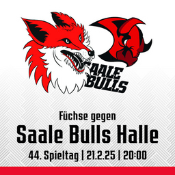 44. Spieltag: Füchse Duisburg - Saale Bulls Halle