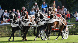 Neustädter Hengstparade 2025 - 1. Hengstparade