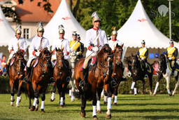 Neustädter Hengstparade 2025 - 2. Hengstparade