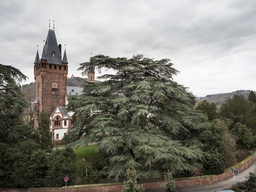 Die Brüder Hirsch - Mit allen Fasern des Herzens an der Heimat hängend