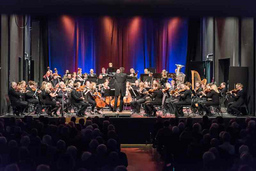 Neujahrskonzert - Wendland Sinfonieorchester