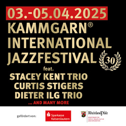 Kammgarn Int. Jazzfestival (30) - Dieter Ilg Trio