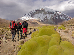 Abenteuer Fernweh: Abenteuer im Hochland Boliviens