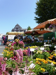 Erlebnis Wochenmarkt - Schlemmer-Wochenmarktführung