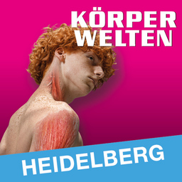 KÖRPERWELTEN | Heidelberg | Zeitfensterticket