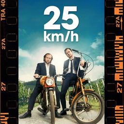 25 km/h