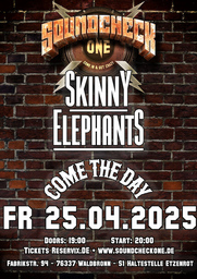 Skinny Elephants + Come The Day