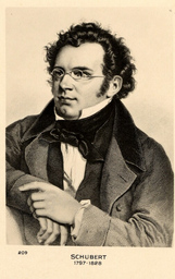 »Romantik«  Lieder und Kammermusik von Franz Schubert