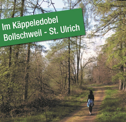 Waldbaden mit erlebnisreicher Wanderung zum Waldbadepfad mit Natur- & Landschaftsführerin Veronika Sumser